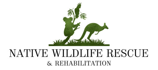 Native Wildlife Rescue (NWR) Southern Highlands Australia